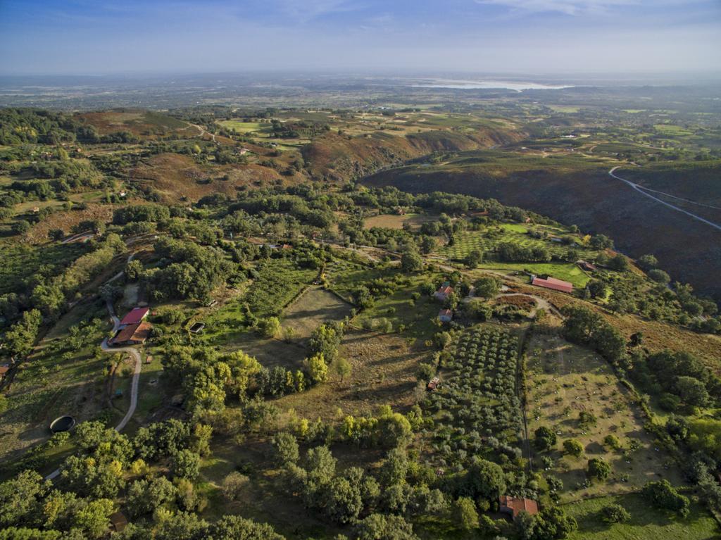 Abejas 1 De El Vergel De Chilla Candeleda Exteriér fotografie